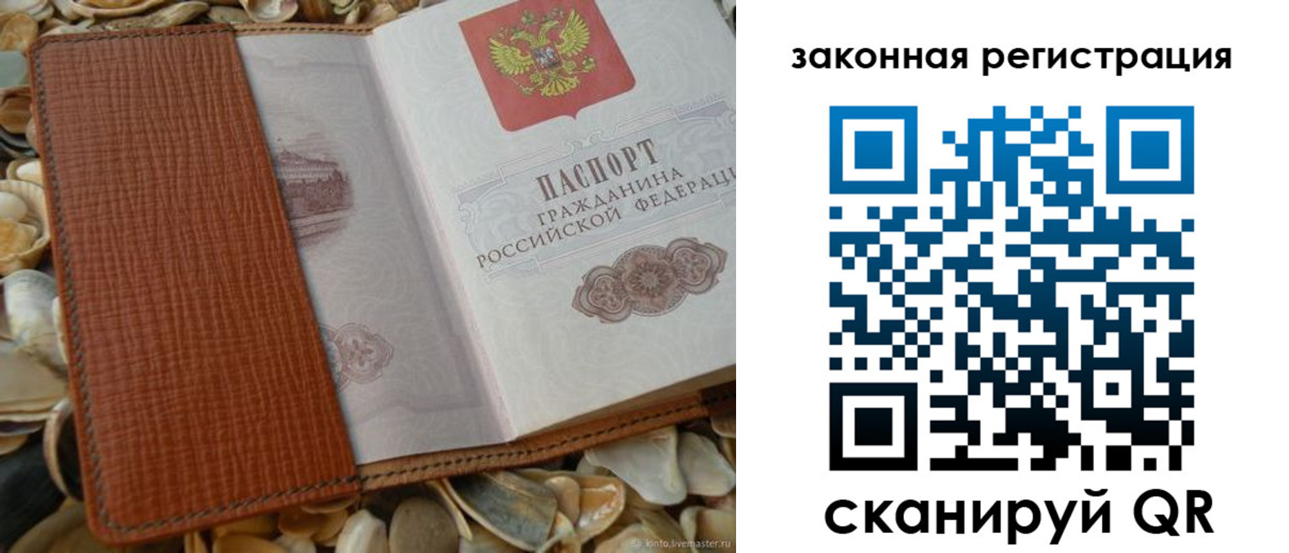 прописка паспорт в Петропавловске-Камчатском
